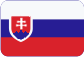 Спортивные шины Slovensky